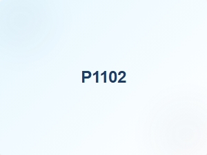 P1102 Code Vehicle Identification Tips